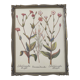 Botanical board wildflowers frame wood to pose