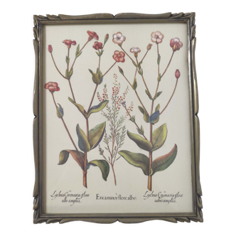 Botanical board wildflowers frame wood to pose