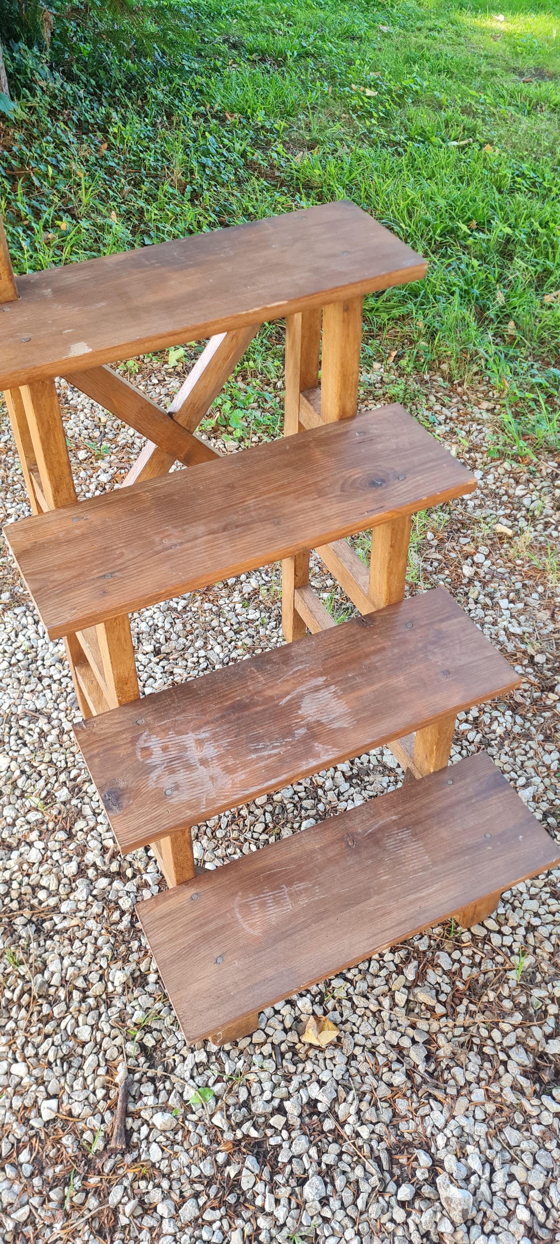 Old library stepladder