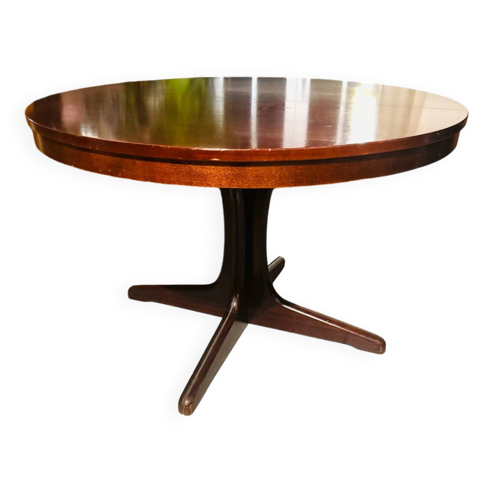 Baumann extendable table