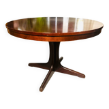 Baumann extendable table
