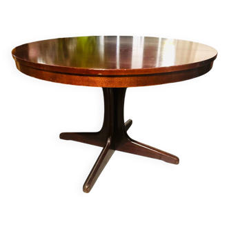 Baumann extendable table
