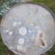 Bucket or zinc jug