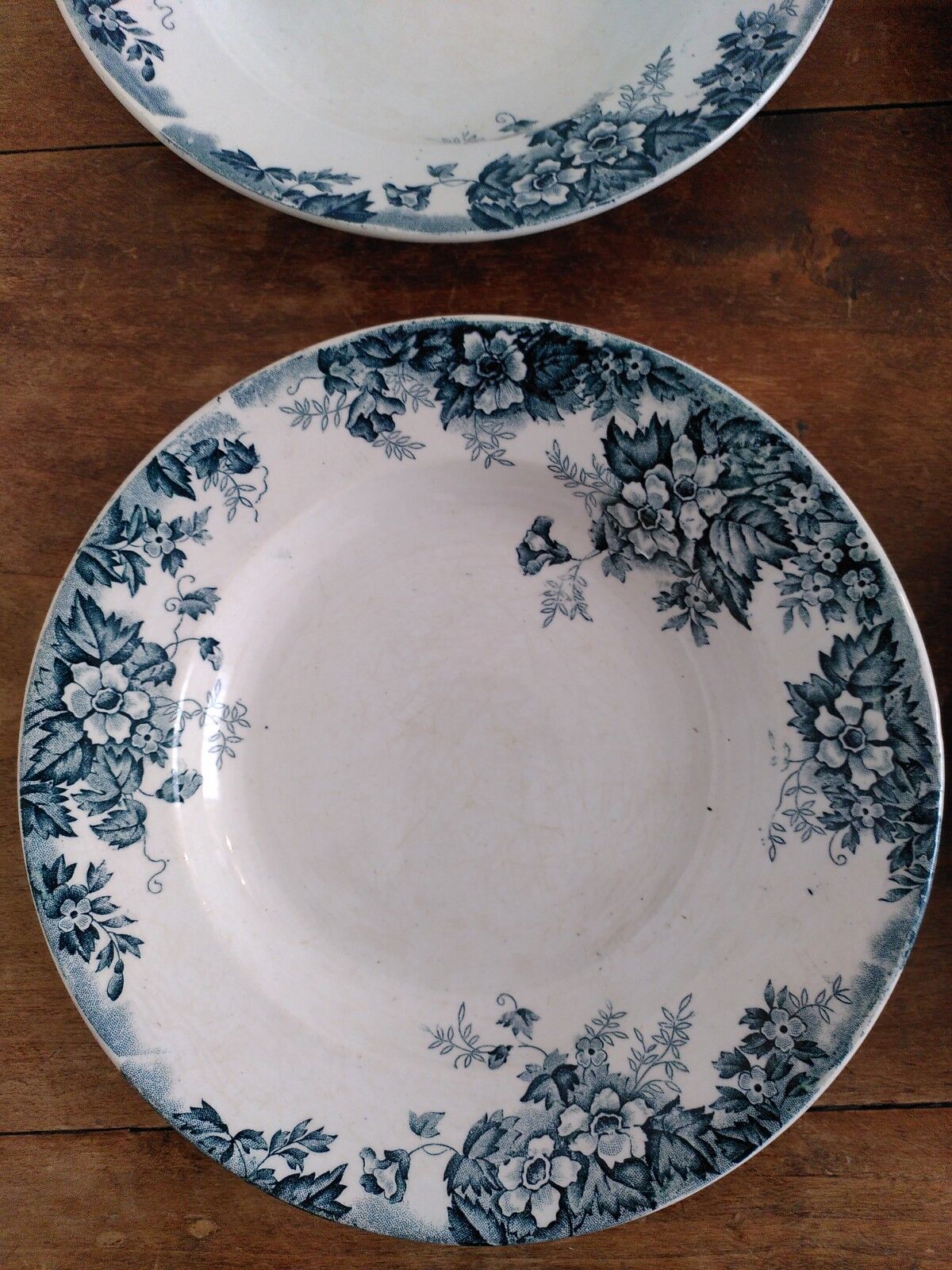 Set of flat and hollow plates in Terre de Fer Saint Amand & Hamage