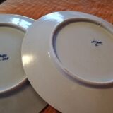 Set of 2 Delft plates