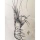 Table "Giant Tiger Shrimp"