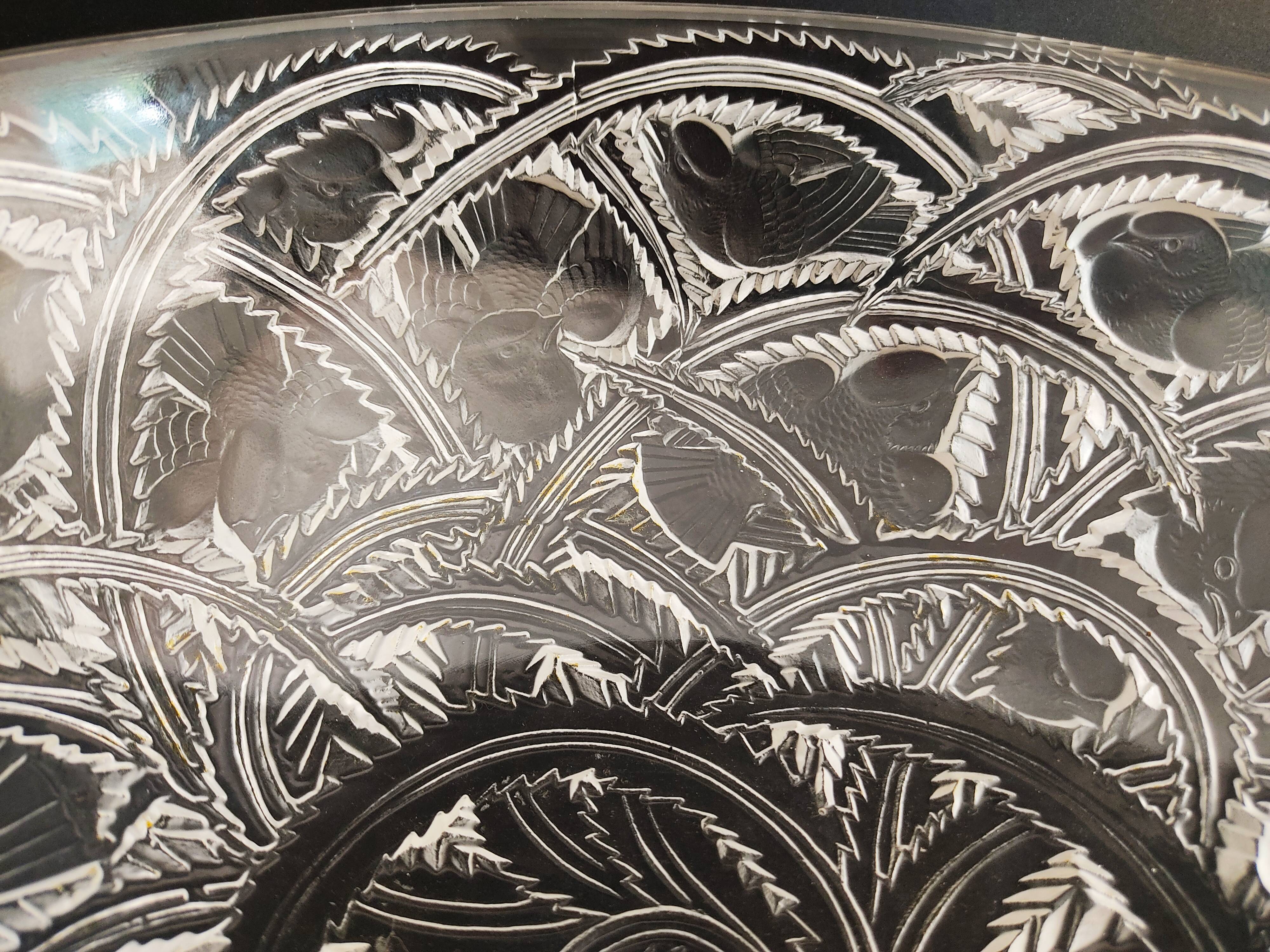Coupe Lalique pinsons et feuillages signée