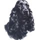 Animal portrait, painting signed by Jean Rivet, 1960s