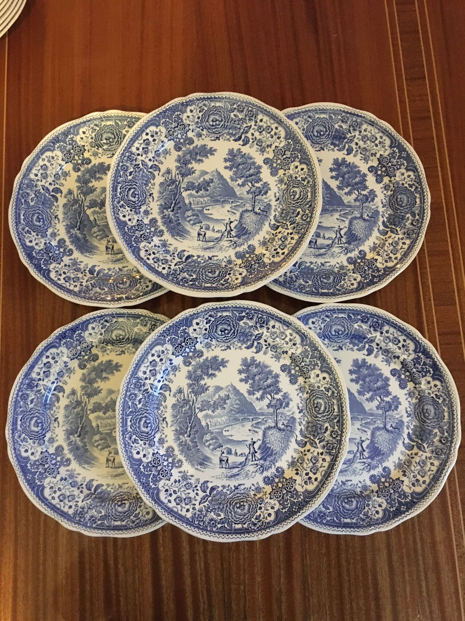 6 plates Villeroy and Boch model Burgenland