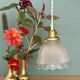 Vintage tulip suspension in frosted glass (TFB1)