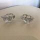 Crystal salt shakers daum