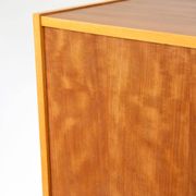 Mid-Century Modern Scandinavian Wooden Bar Cabinet, 1950s