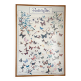 TABLEAU Display BUTTERFLY Italy Vintage