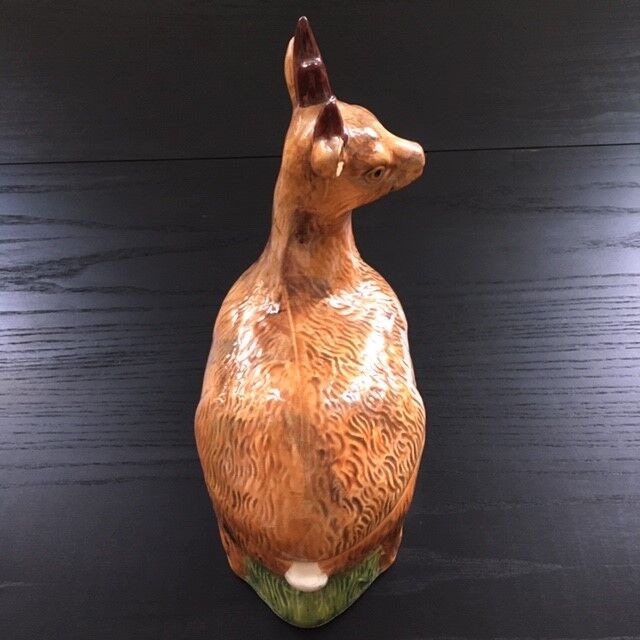 Empty pocket deer in dabbling