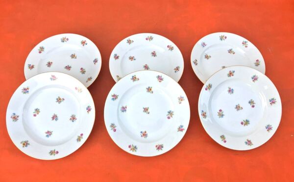 6 assiettes creuses anciennes  Porcelaine P.N France