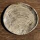 Petrified wood catchall or dish in light grey with rings D27x25 -3320