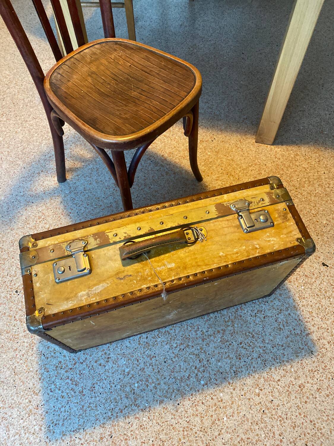 Luxury velun suitcase 1920