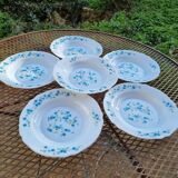 6 vintage hollow plate arcopal model veronica decor myosotis