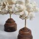 Pair of antique corals on turned wooden bases, 13 cm