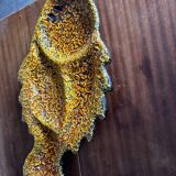 Large Flat Fish Appetizer - Fat Lava Vallauris Earthenware 47 / 25 cm