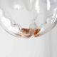 Murano glass globe pendant light, Maazzega edition, Italian design