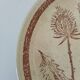 Pair of vintage plates with rusty brown thistle decoration – 1950s