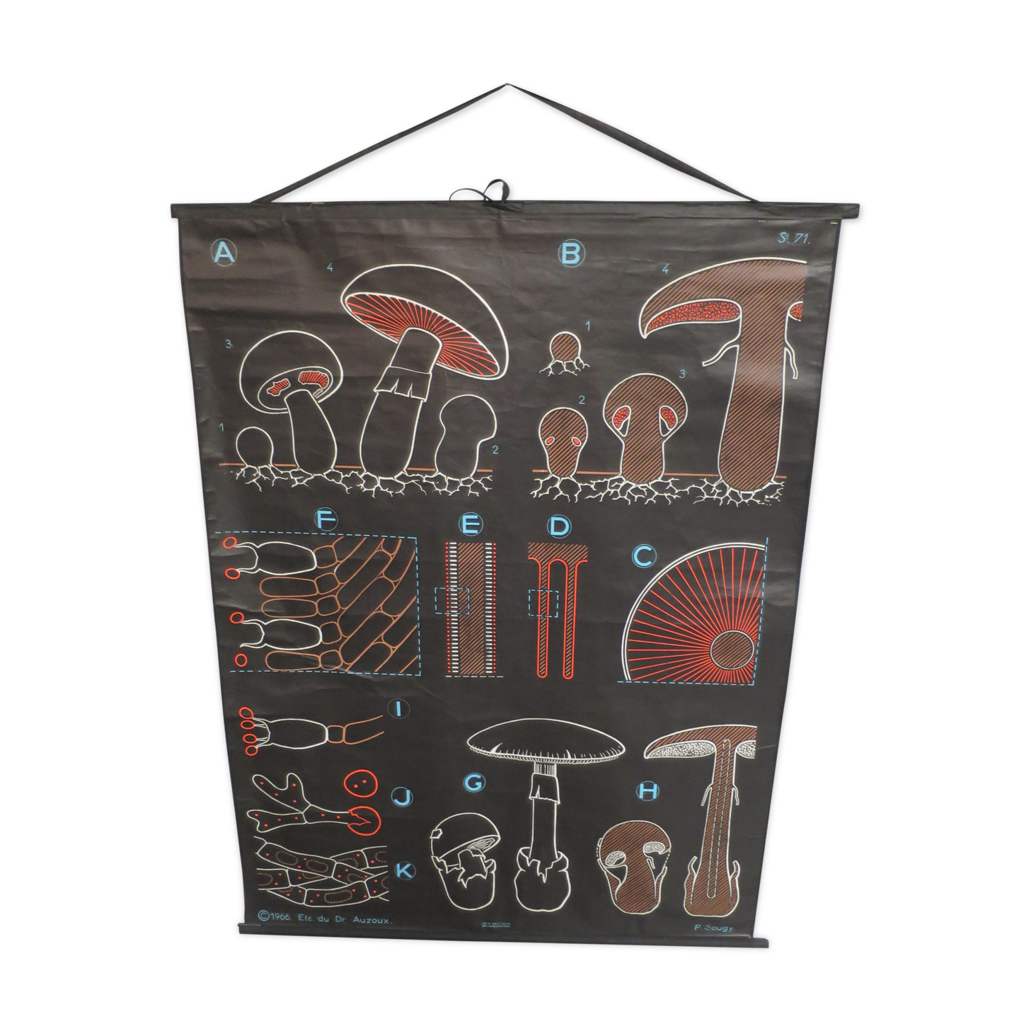 Vintage poster Dr Audoux mushroom theme