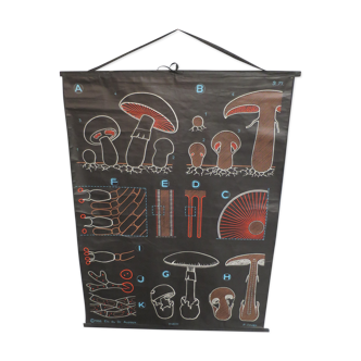 Vintage poster Dr Audoux mushroom theme