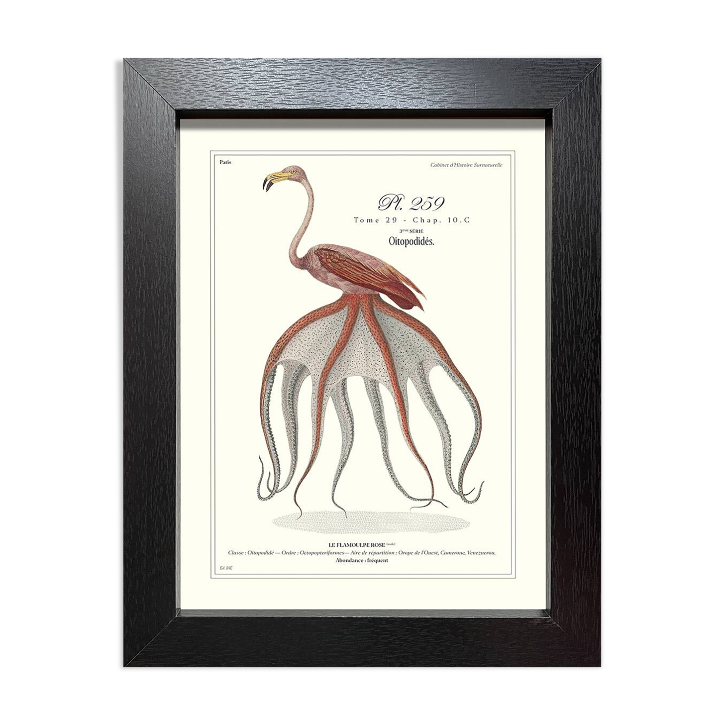 Lithograph engraving chimera animal framed, the flamoulpe 22x28 cm