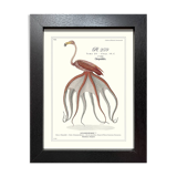 Lithograph engraving chimera animal framed, the flamoulpe 22x28 cm