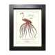 Lithograph engraving chimera animal framed, the flamoulpe 22x28 cm