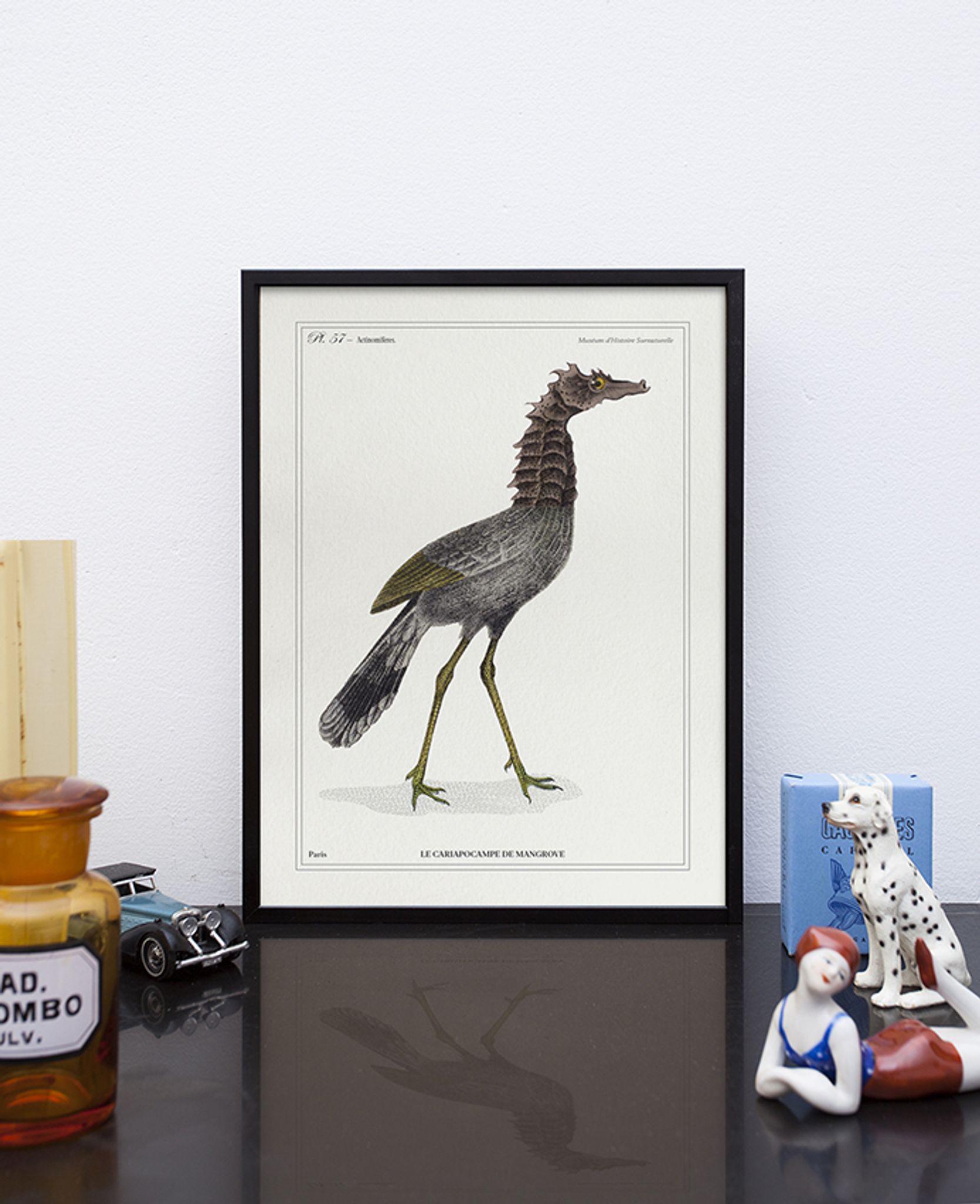 Lithograph chimeric engraving animal - the cariapocampus