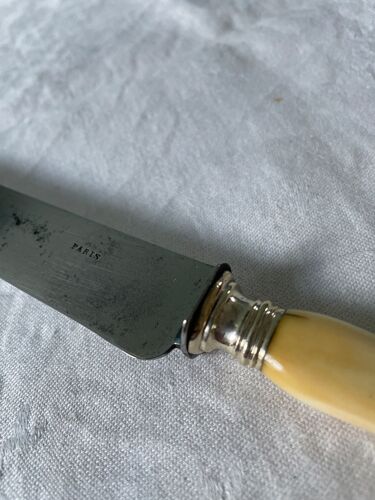Coffret de 12 couteaux de table Napoleon III XIXème