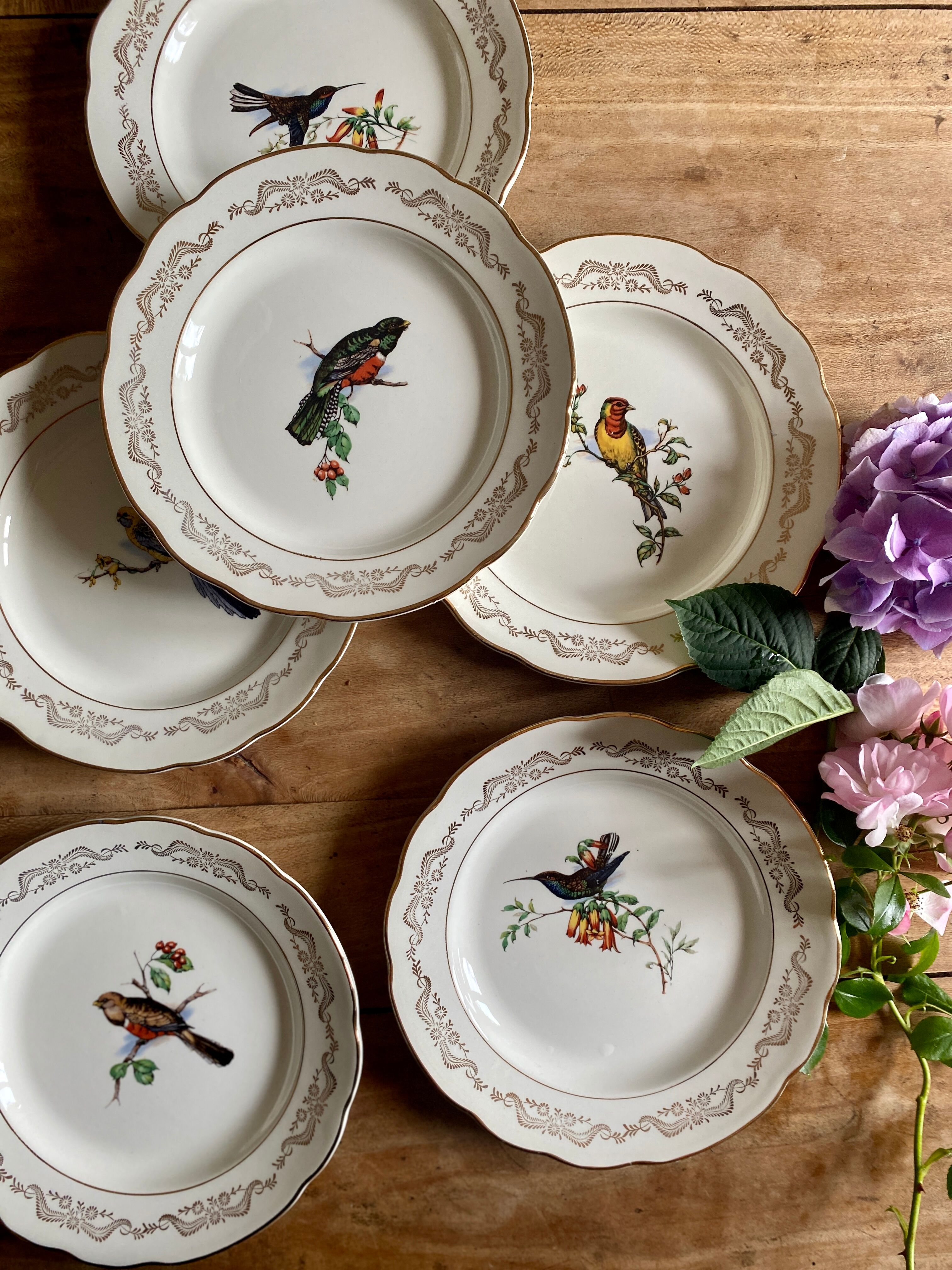 Set of 6 flat plates vintage model Moineaux de Paris de Gien