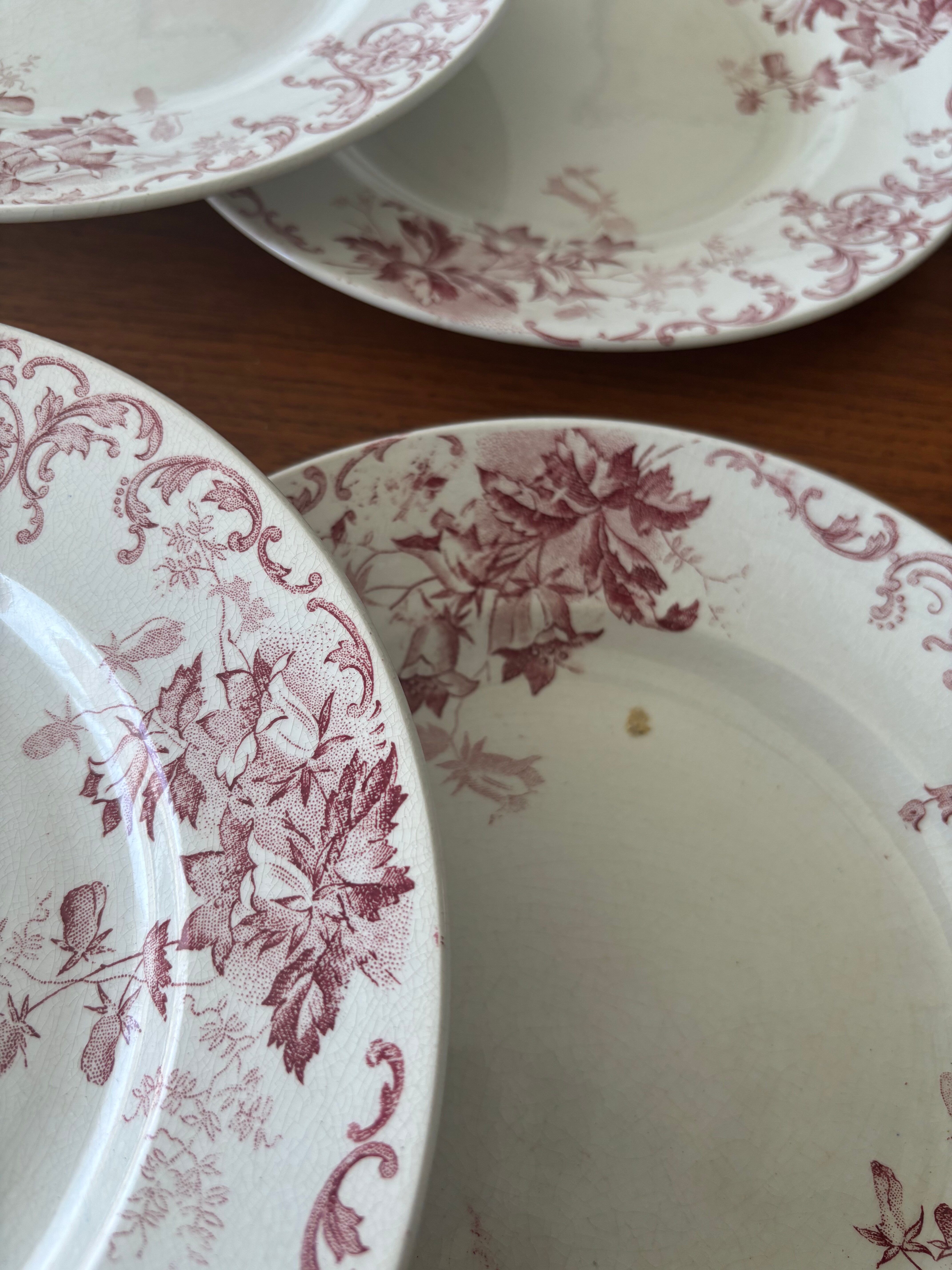 Set of 6 antique red Terre de Fer plates St Amand Hamage model