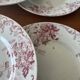 Set of 6 antique red Terre de Fer plates St Amand Hamage model