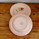 Set of 5 Digoin Sarreguemines dessert plates