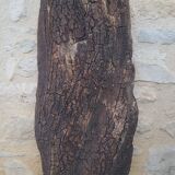Cork oak bark dish