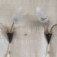 Articulated double light wall sconces in brass and glass - mid 20th century.