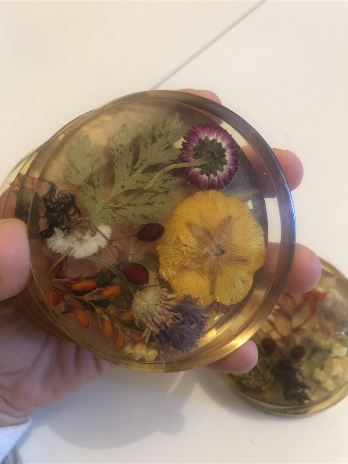 Lot 6 under glass botanical inclusion in resin genuine vintage flowers