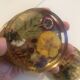 Lot 6 under glass botanical inclusion in resin genuine vintage flowers