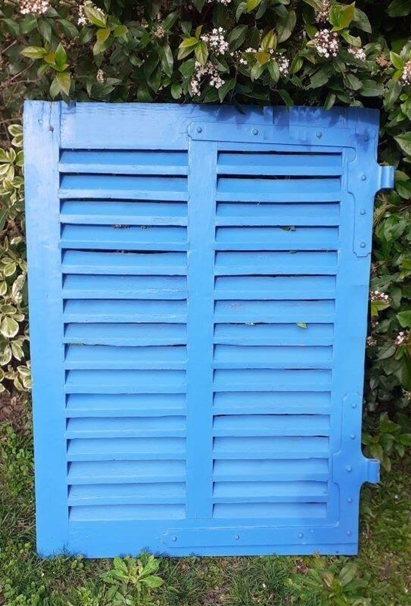 Petit volet  L75xH101cm bleu à persiennes