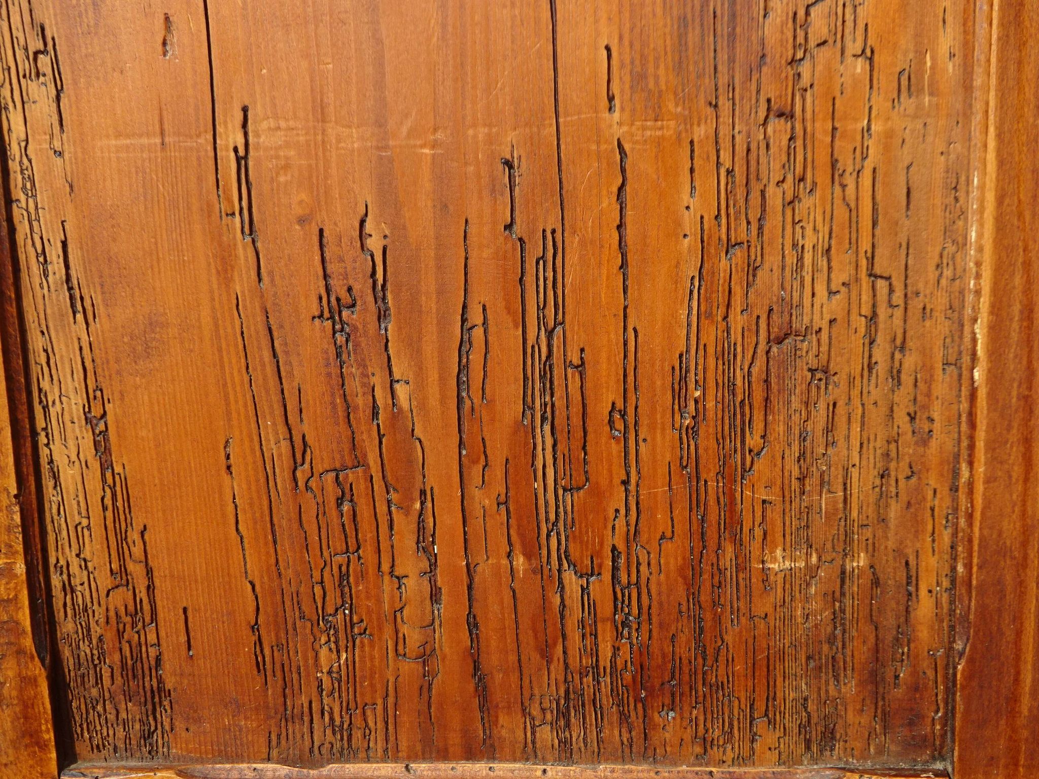 Ancien buffet parisien en pin