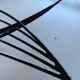 Basket in black lacquered metal "fish"