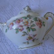 Theière or Porcelain coffee maker Former Royal factory Limoges model Eglantine