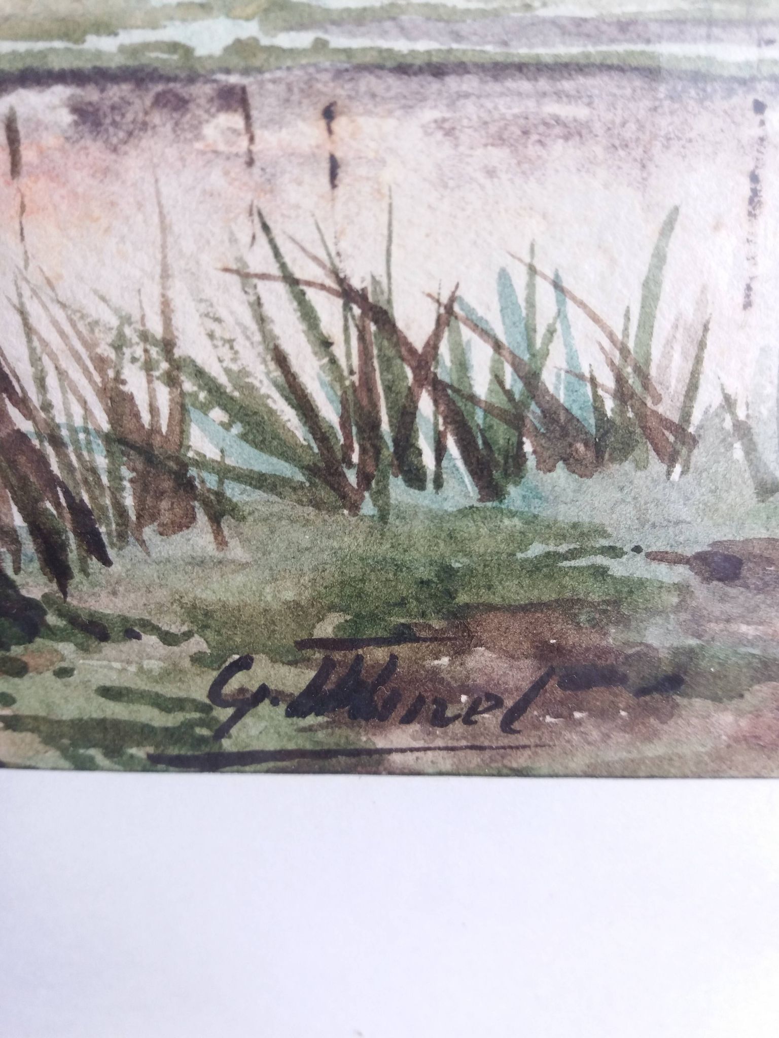 Aquarelle signée Thinel, paysage,  marais poitevin