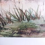 Watercolor signed Thinel, landscape, Marais Poitevin