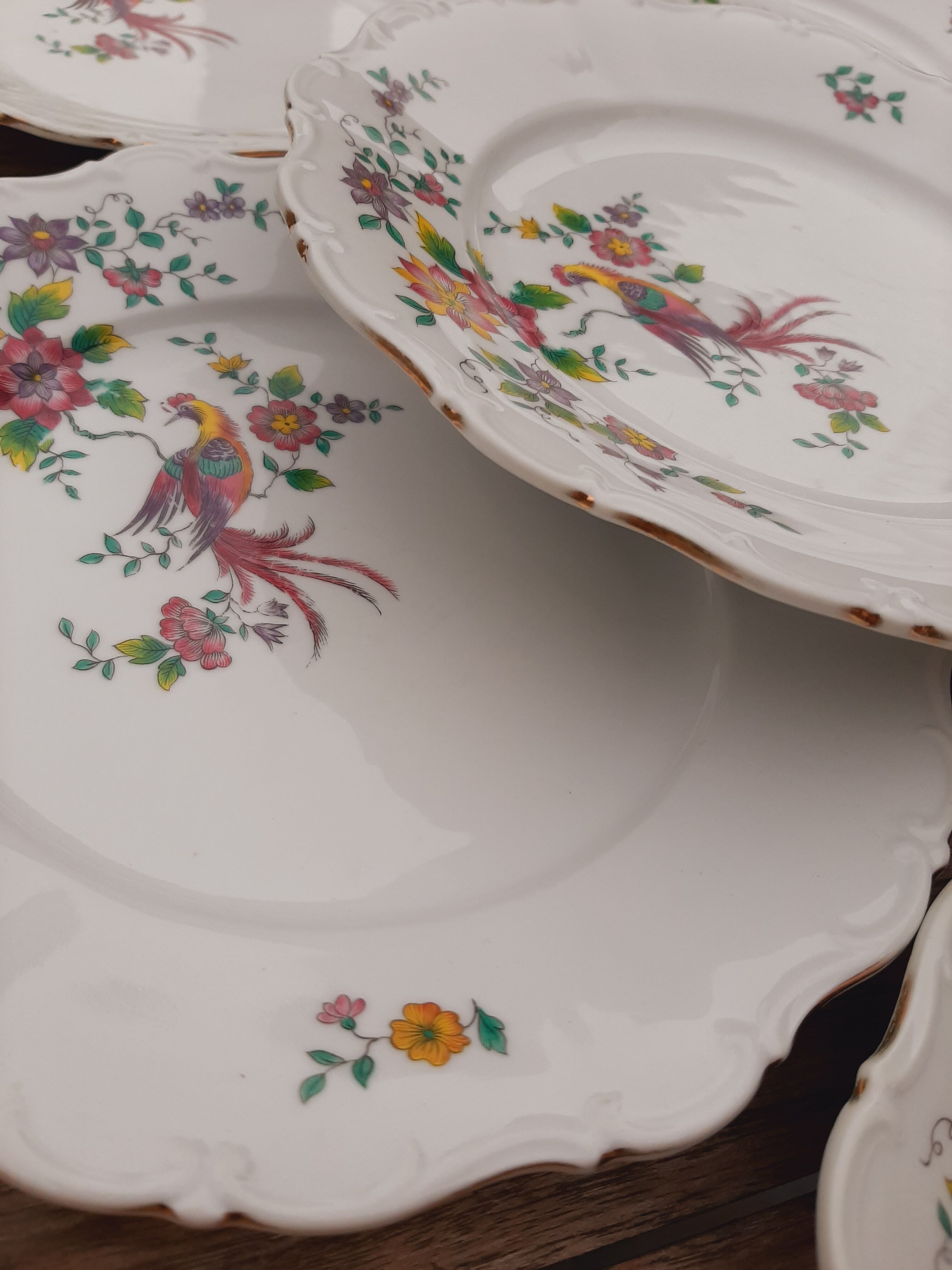 6 porcelain plates Bird Seltmann Weiden