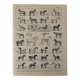 Ancienne gravure sur le cheval 1900