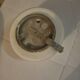 Plafonnier opaline blanche de 1970